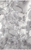 Picture of 19112 096